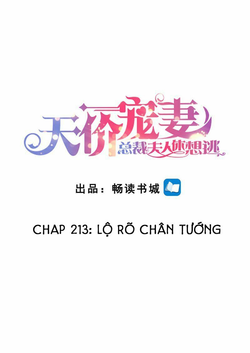 Cưng Chiều Vợ Yêu: Chapter 213