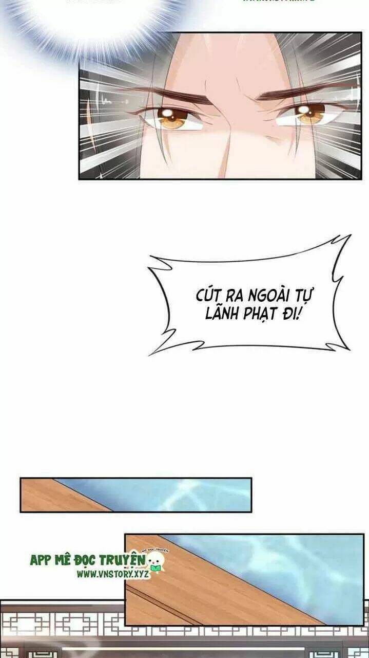 Nhất Sinh Nhất Thế Tiếu Thương Khung: Chapter 74