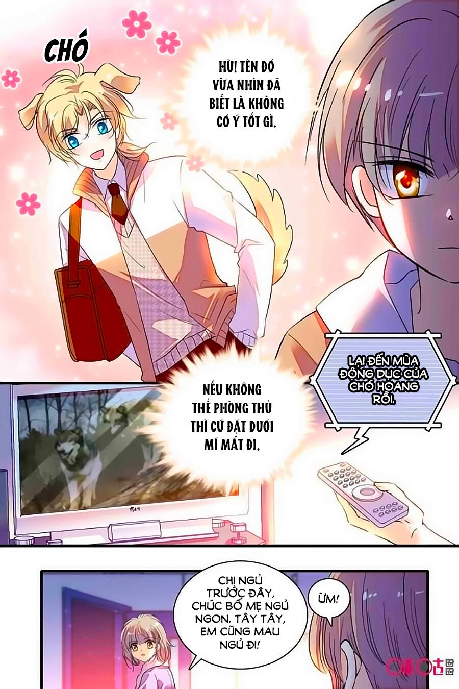 Thanh Ninh Chi Hạ: Chapter 242
