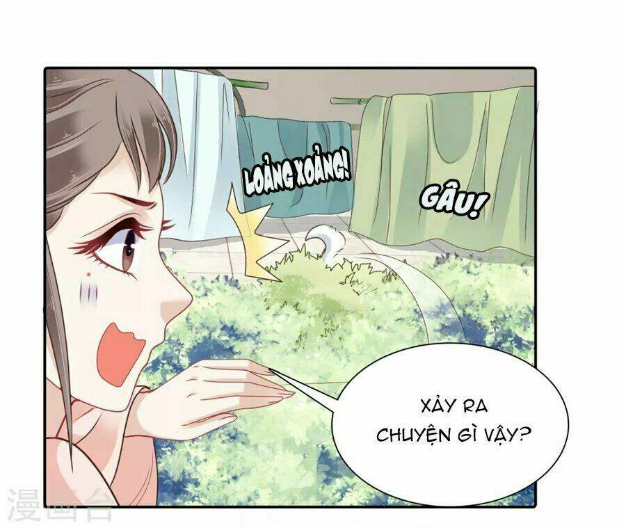 Phú Bà Bạc Tỷ Trong Lãnh Cung: Chapter 11