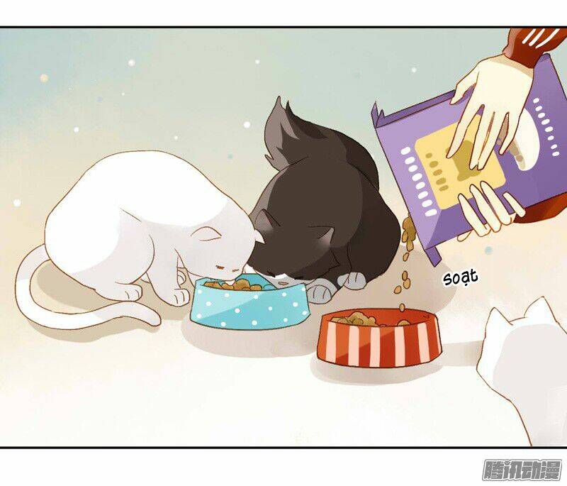 Sức Mạnh Của Sắc Đẹp: Chapter 110