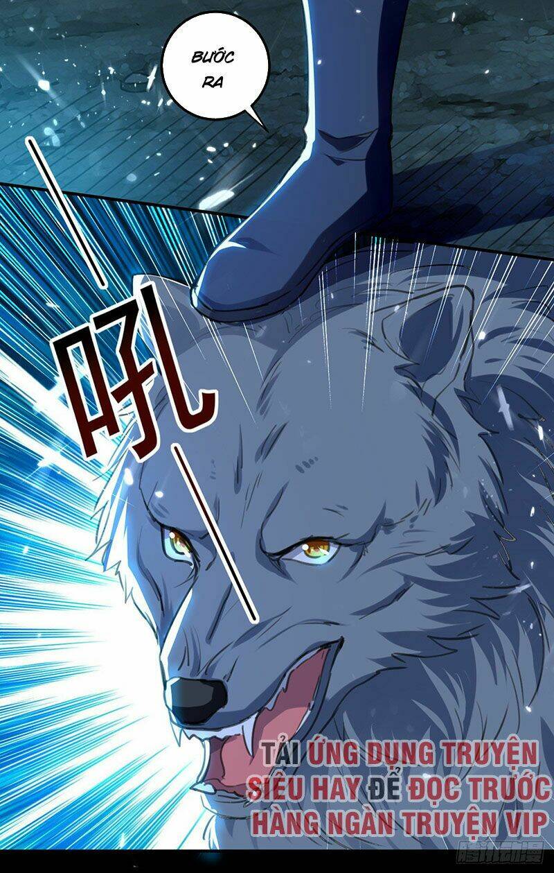 Dị Giới Siêu Cấp Ở Rể: Chapter 47