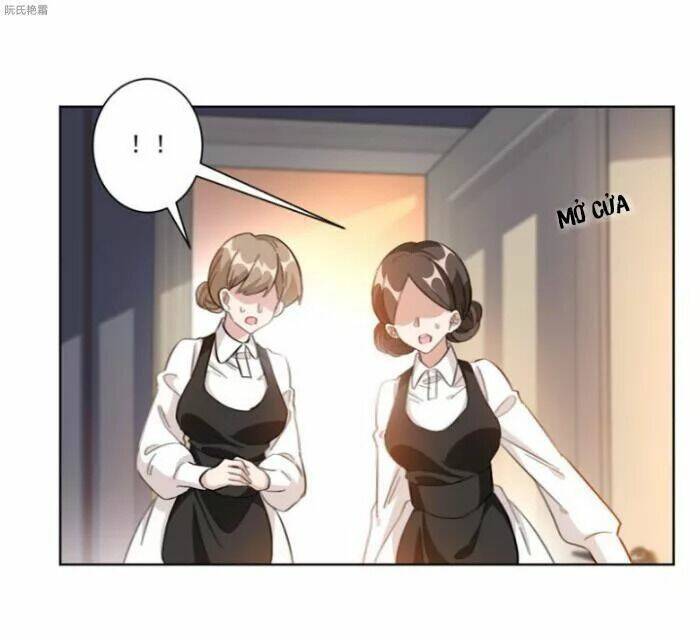 Trọng Sinh Noãn Hôn Khinh Sủng Thê: Chapter 2