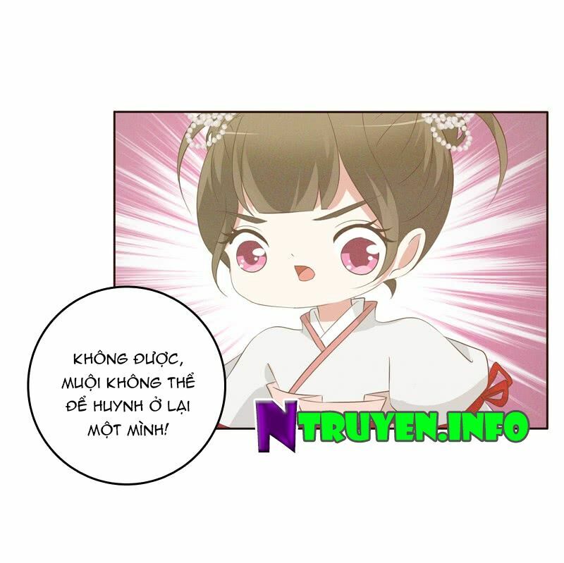 Thông Linh Phi: Chapter 169