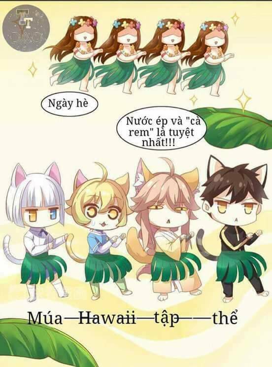 Dưới Móng Vuốt Mèo: Chapter 3