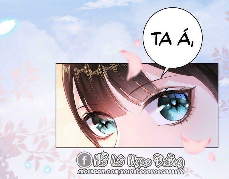 Quận Chúa Vững Vàng, Thiết Lập Nhân Vật Không Thể Vỡ: Chapter 39