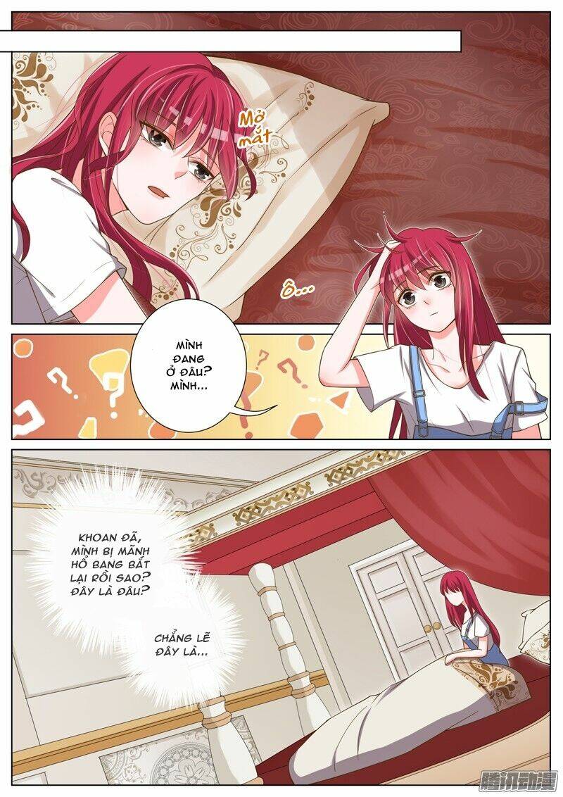 Vương Bài Giáo Thảo: Chapter 34