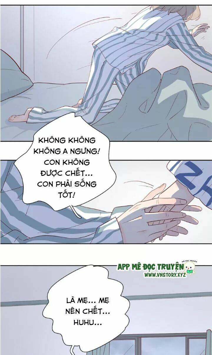 Cạm Bẫy Ngọt Ngào: Chapter 97