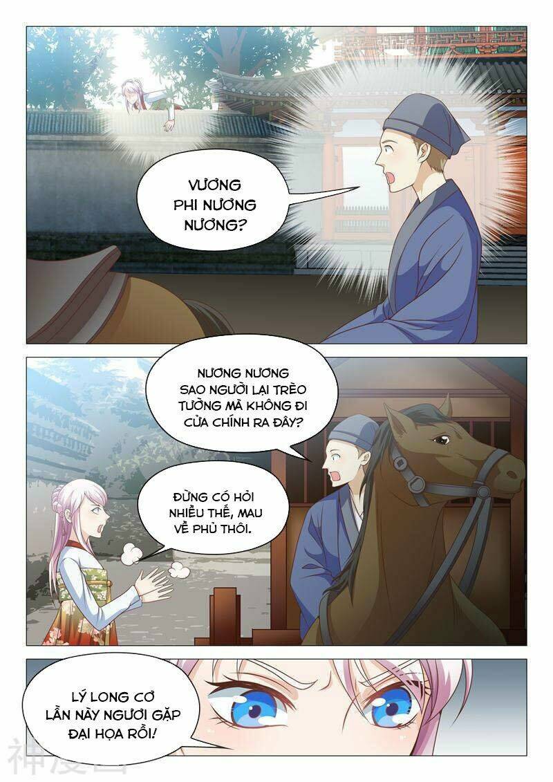 Dương Quý Phi Là Lính Đặc Chủng: Chapter 22