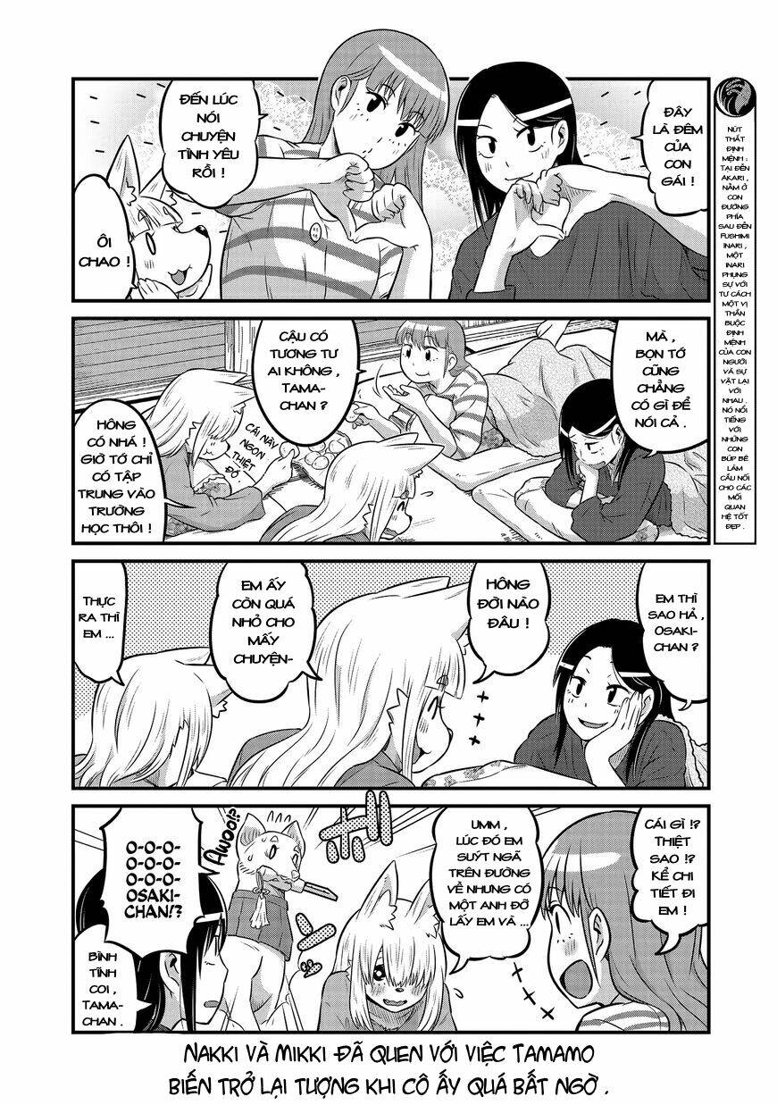 High School Inari Tamamo-Chan: Chapter 19