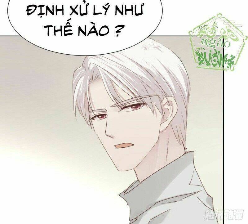 Điều Giáo Gấu Bắc Cực: Chapter 41