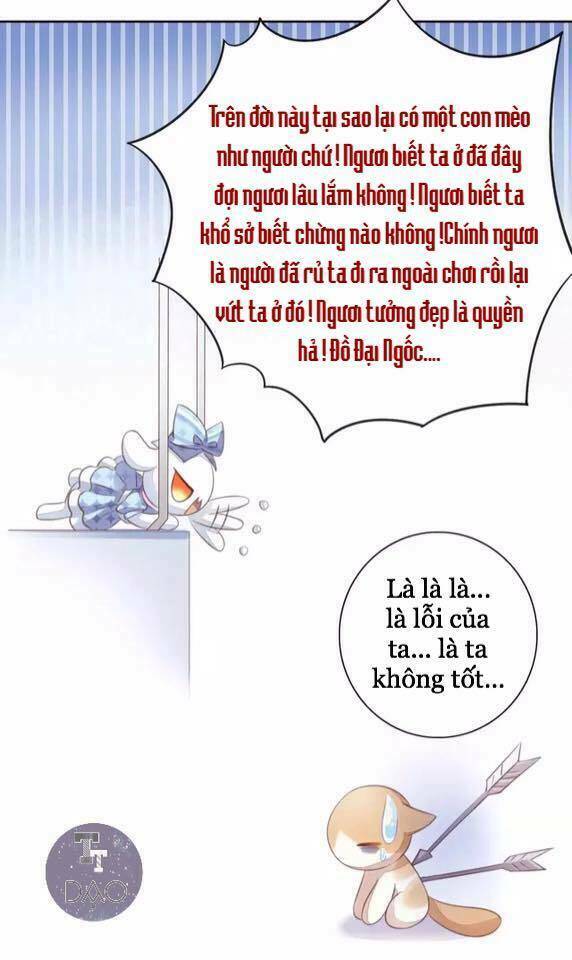 Dưới Móng Vuốt Mèo: Chapter 15