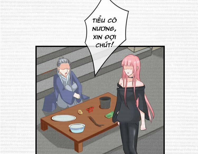 Báo Cáo Vương Gia, Vương Phi Là Một Con Mèo: Chapter 3