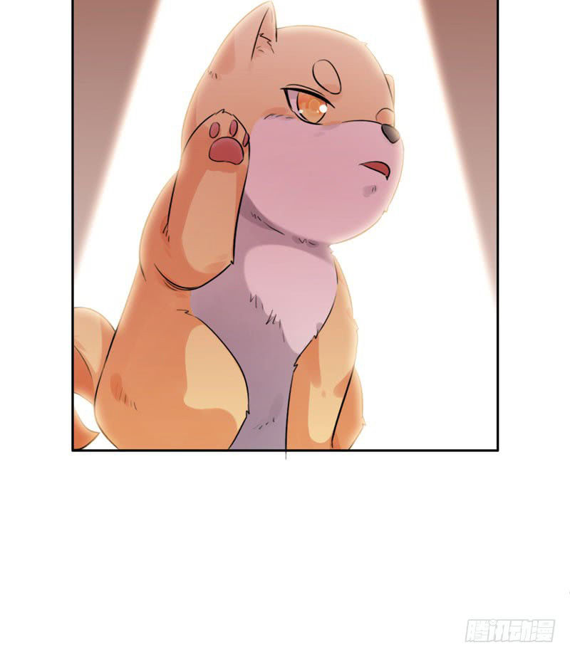 Lụ Đạn, Hôm Nay Lại Cũng Không Thể Biến Thành Người Được: Chapter 3