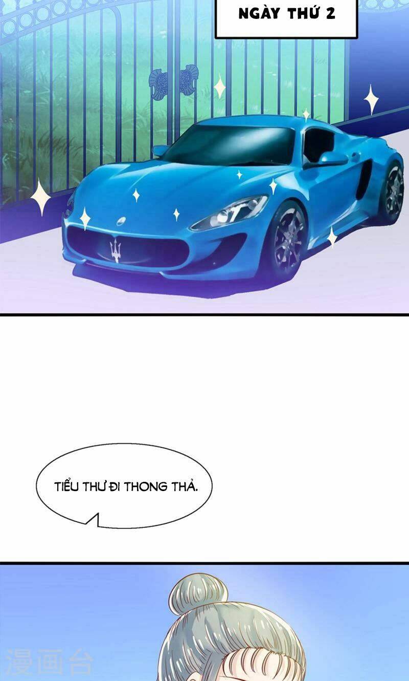 Tôi Bị Gấu Trúc Nhìn Trúng Rồi: Chapter 19