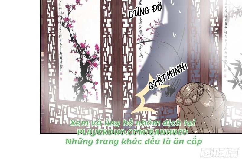 Công Lược Trưởng Thành Của Vương Phi: Chapter 5