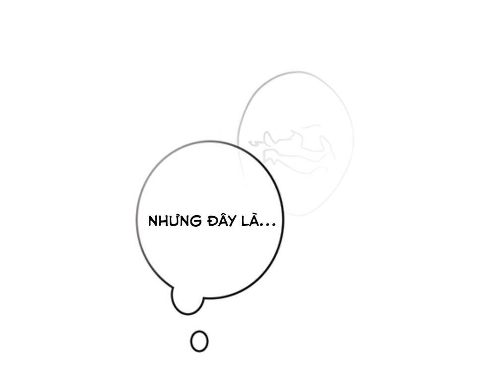 A Lady's Table: Chapter 1