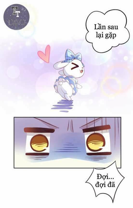 Dưới Móng Vuốt Mèo: Chapter 5