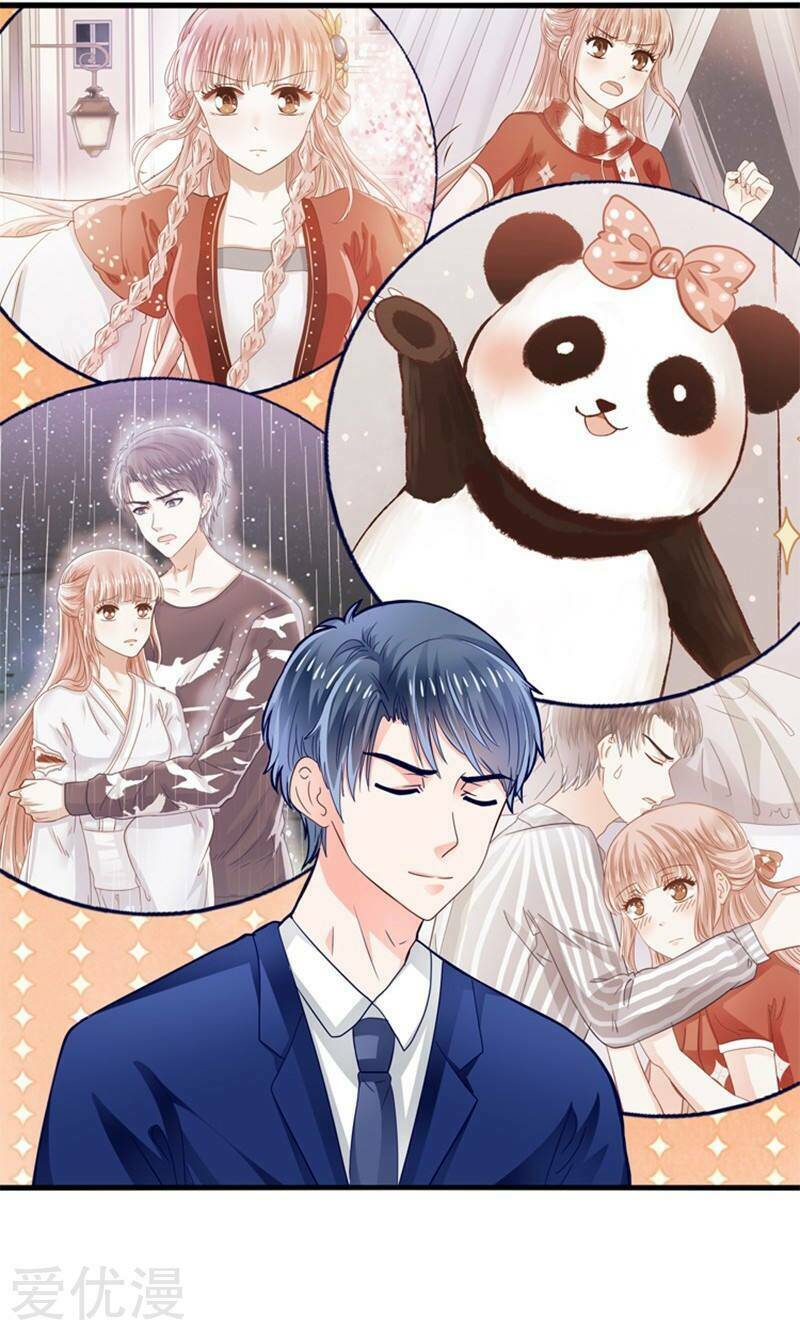 Tôi Bị Gấu Trúc Nhìn Trúng Rồi: Chapter 17