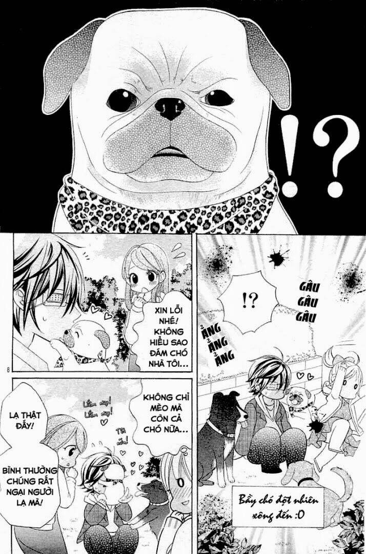 Cuộc Gặp Gỡ Diệu Kỳ: Chapter 20