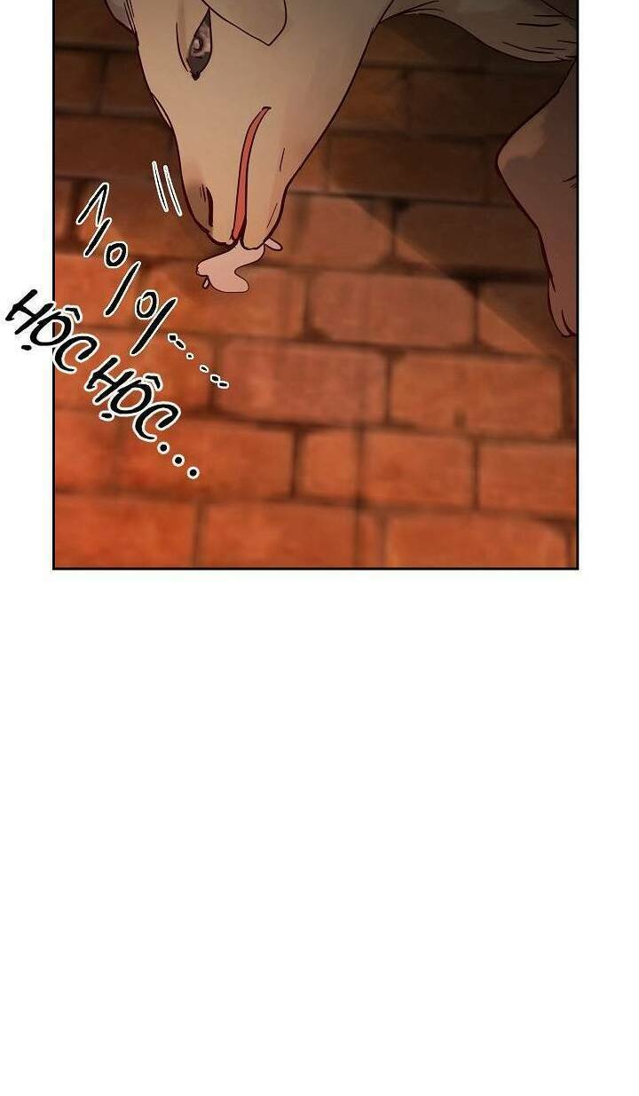 Amina - Nữ Thần Đèn: Chapter 19