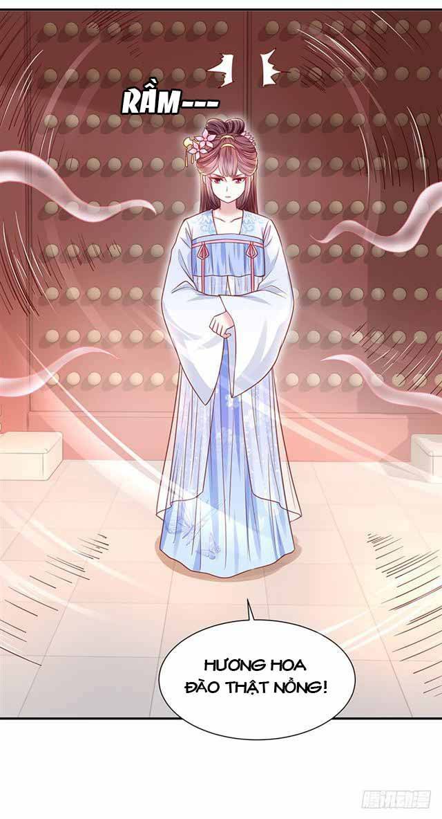 Đế Hoàng Chi Thần Y Khí Phi: Chapter 24