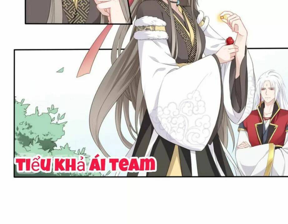 Tước Kiều Tiên: Chapter 2.2