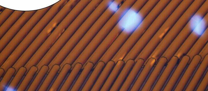 Bí Mật Của Dạ Tộc: Chapter 7.1