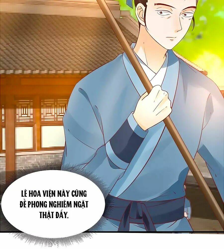 Thịnh Thế Lê Hoa Điện: Chapter 61