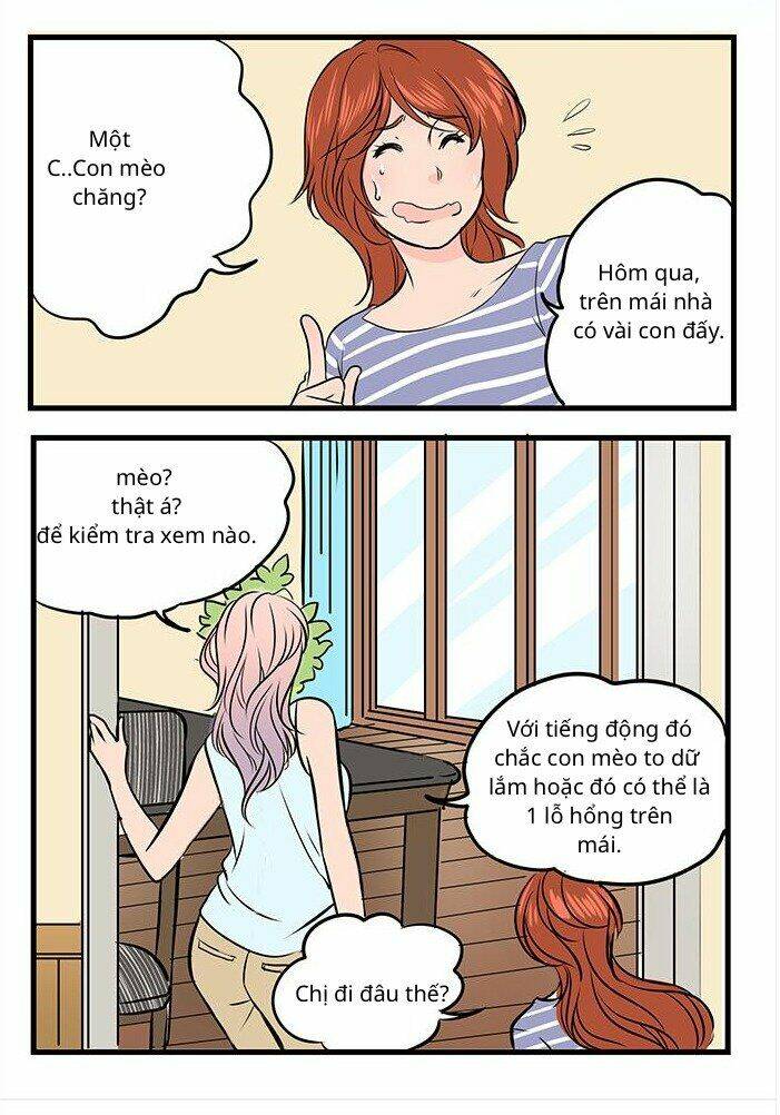 Chàng Trai Từ Quả Trứng: Chapter 18