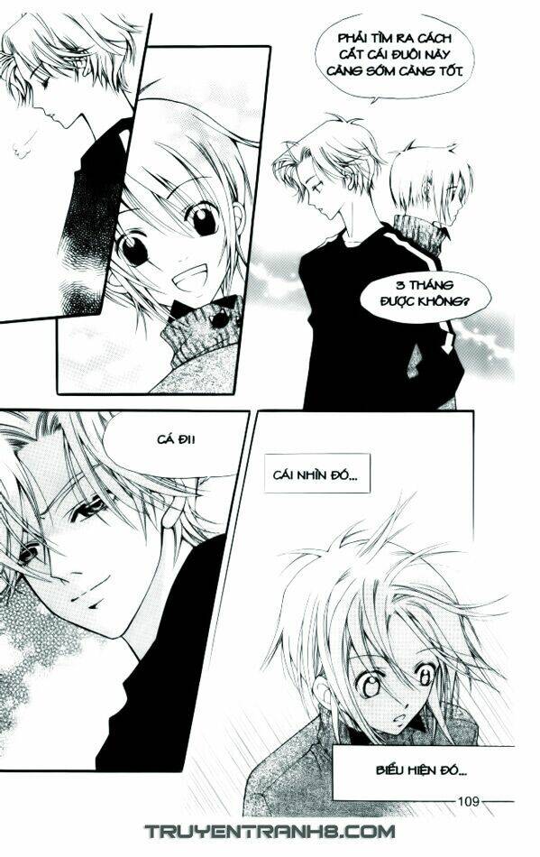 Ngọc Trong Đá-Ace: Chapter 5