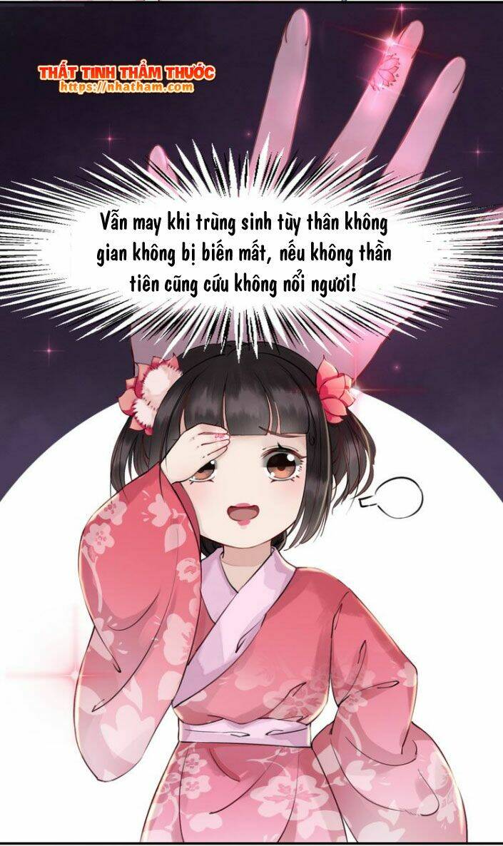 Trọng Sinh Bá Sủng Nhiếp Chính Vương Quá Mạnh Mẽ: Chapter 2
