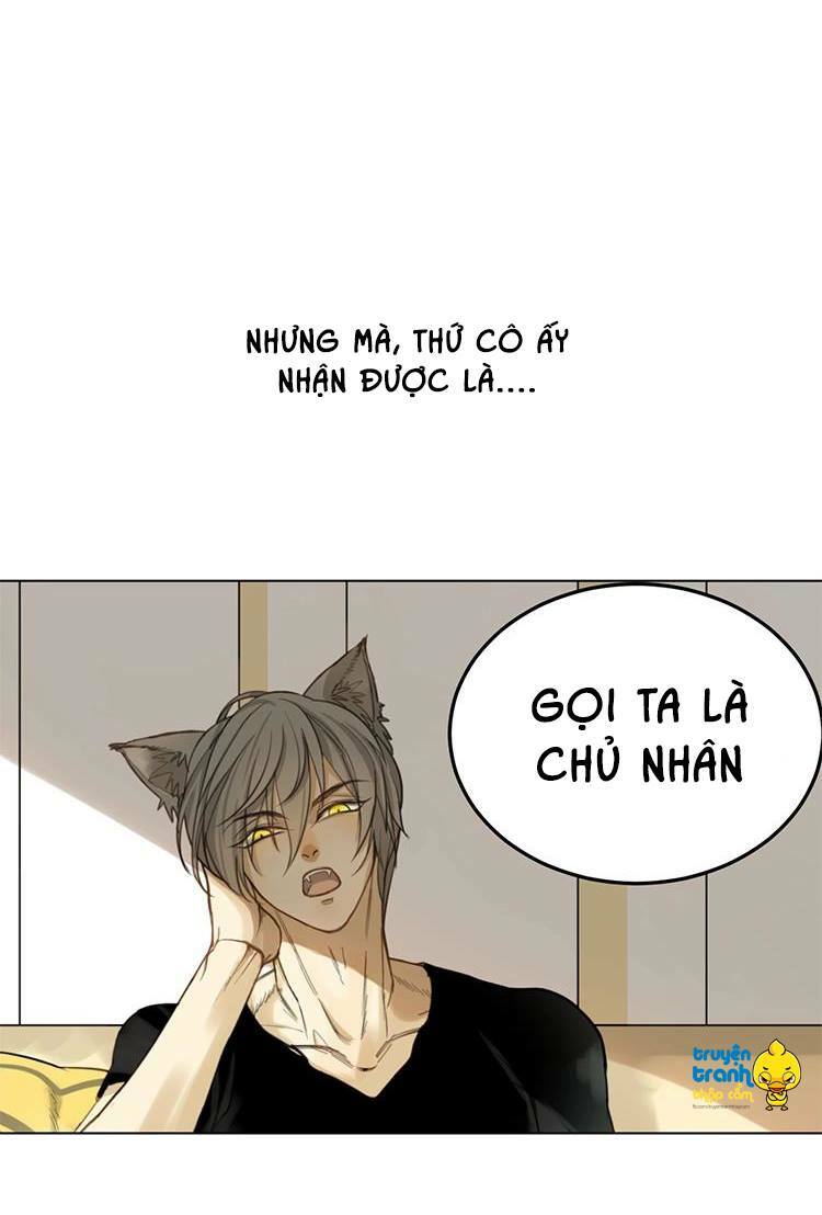 Cứu mạng ! Loài mèo thống trị thế giới rồi !: Chapter 1