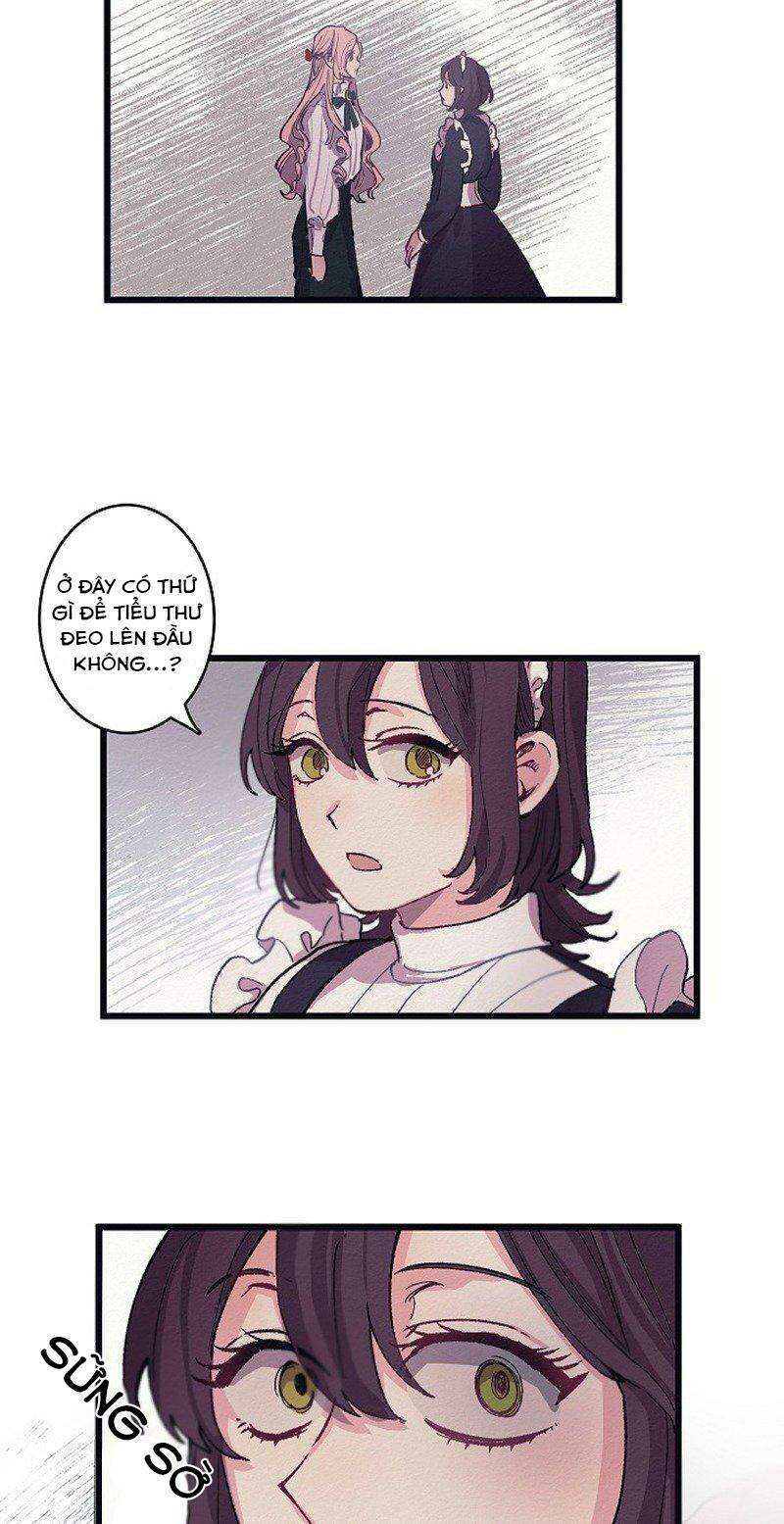 A Lady's Table: Chapter 5