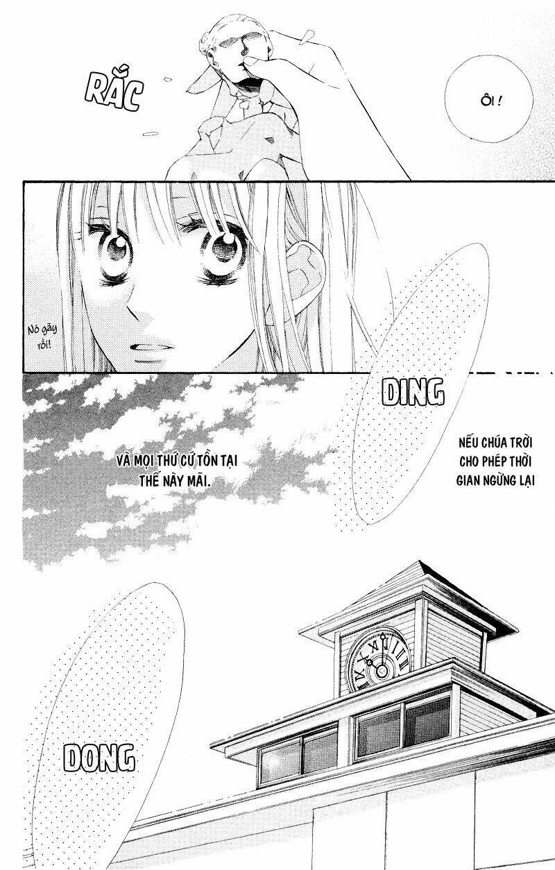 Hoa Trong Bão: Chapter 8