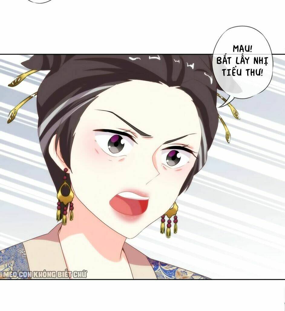 Ồ, Sủng Phi Đại Nhân Của Ta: Chapter 4
