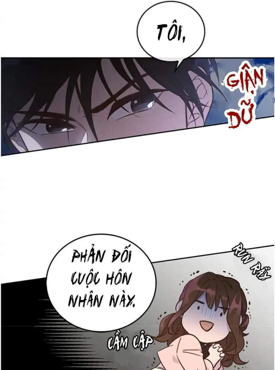 Cuộc Hôn Nhân Bất Khả Thi: Chapter 1