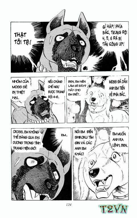 Chú Chó Có Nghĩa - Ginga Nagareboshi Gin: Chapter 25