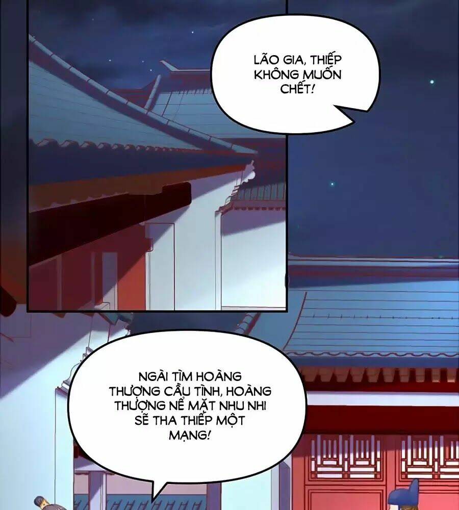 Hoạn Phi Hoàn Triều: Chapter 49
