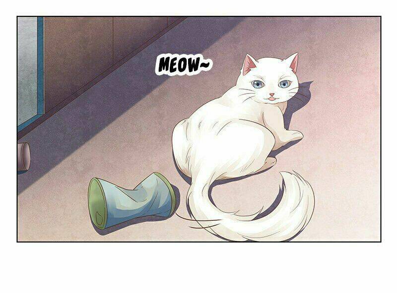 Hôn Bất Do Kỷ: Chapter 50