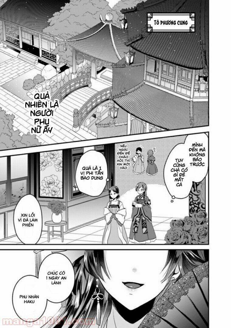 Người Quản Lí Của Hậu Cung Phi: Chapter 1