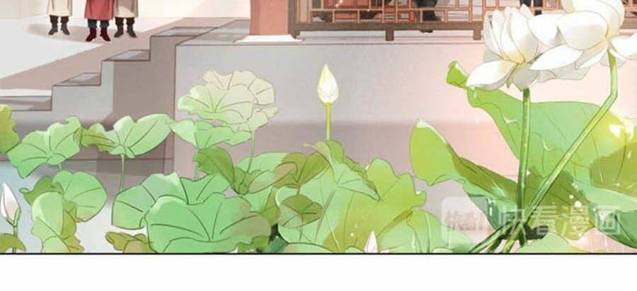 Tiểu Sư Phụ, Tóc Giả Của Ngài Rơi Rồi!: Chapter 34