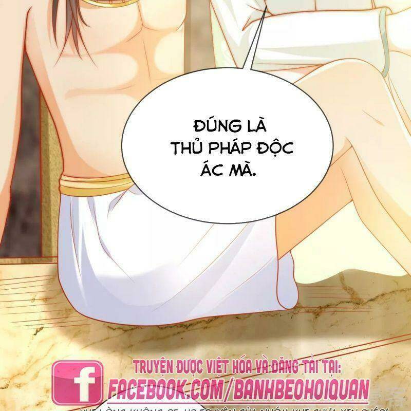 Sủng Hậu Của Vương: Chapter 56
