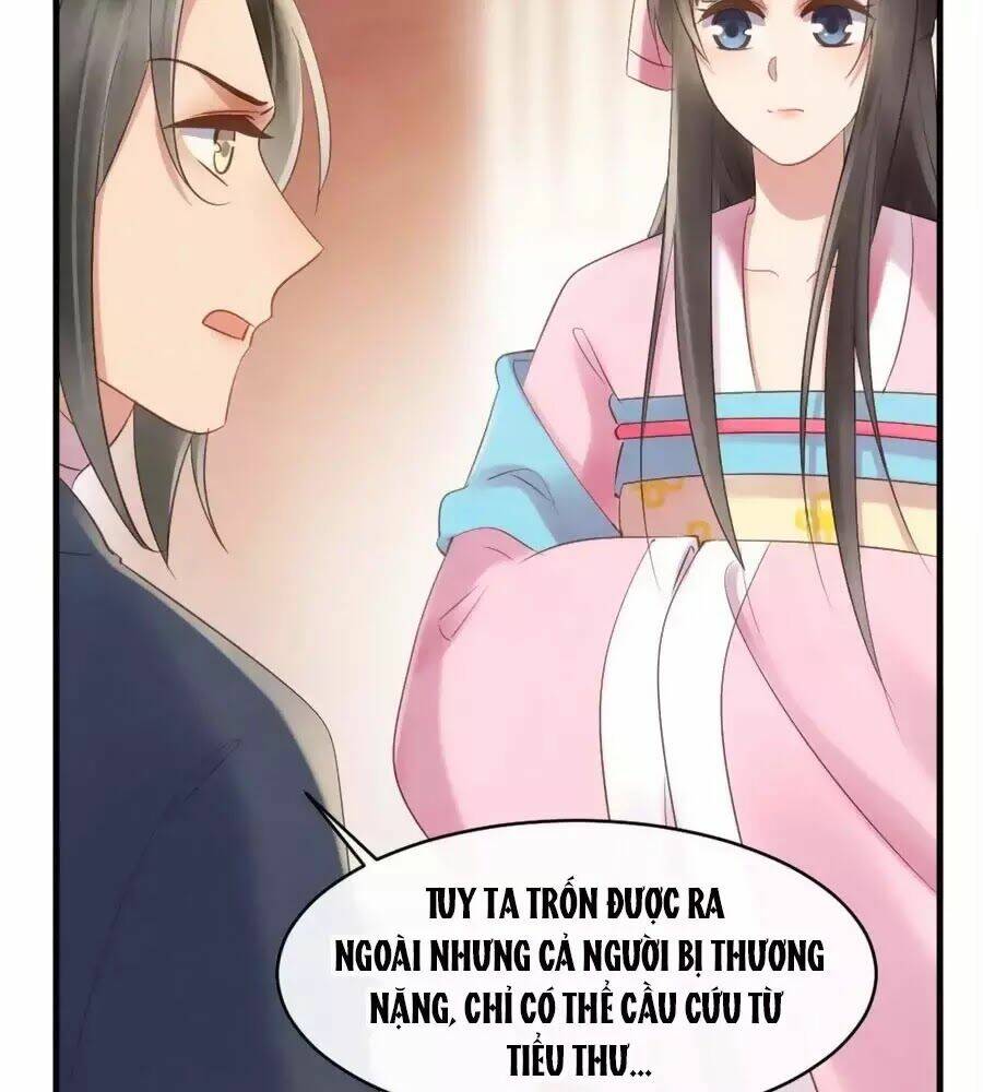 Vương Phi Muốn Trèo Tường: Chapter 43