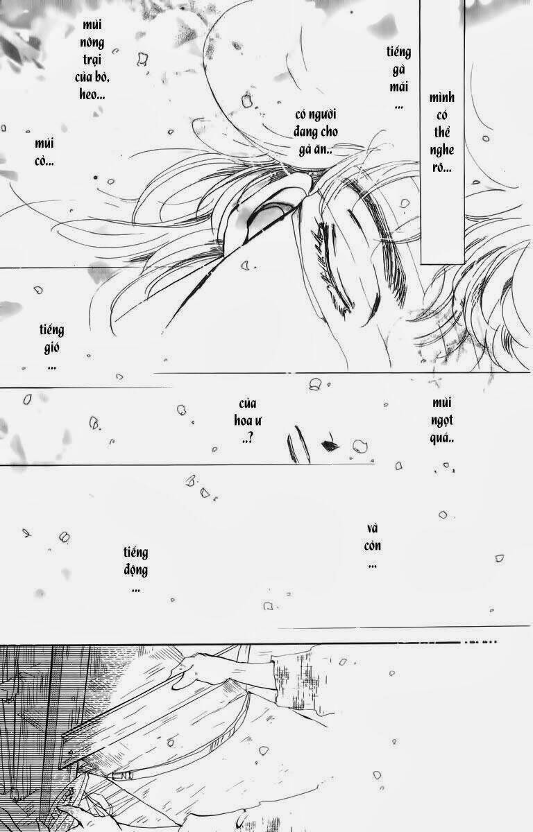 Đứa Con Số Phận: Chapter 33