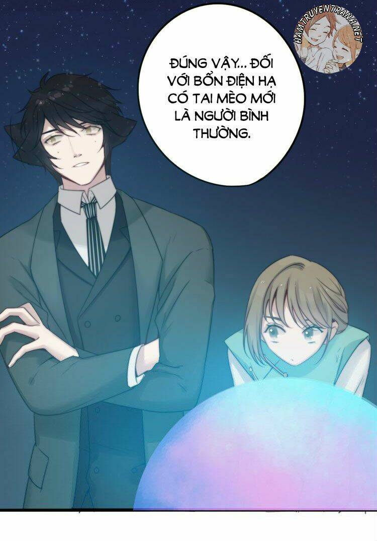 Viện Bảo Tàng Tâm Nguyện: Chapter 5.3