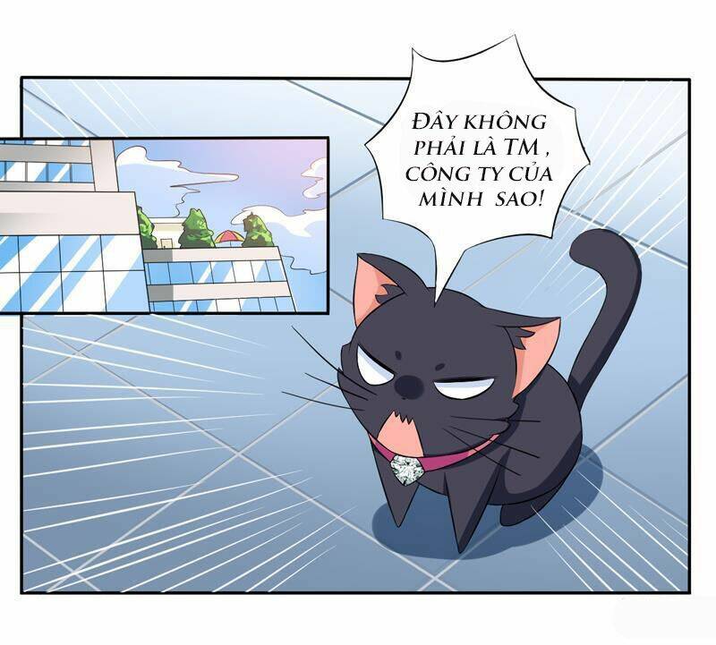 Miêu Vương Tại Thượng: Chapter 4