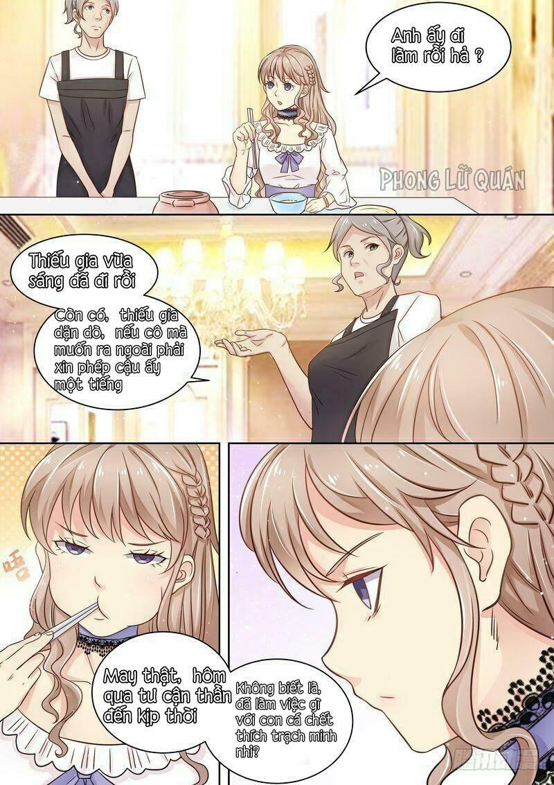 Cưng Chiều Vợ Yêu: Chapter 11