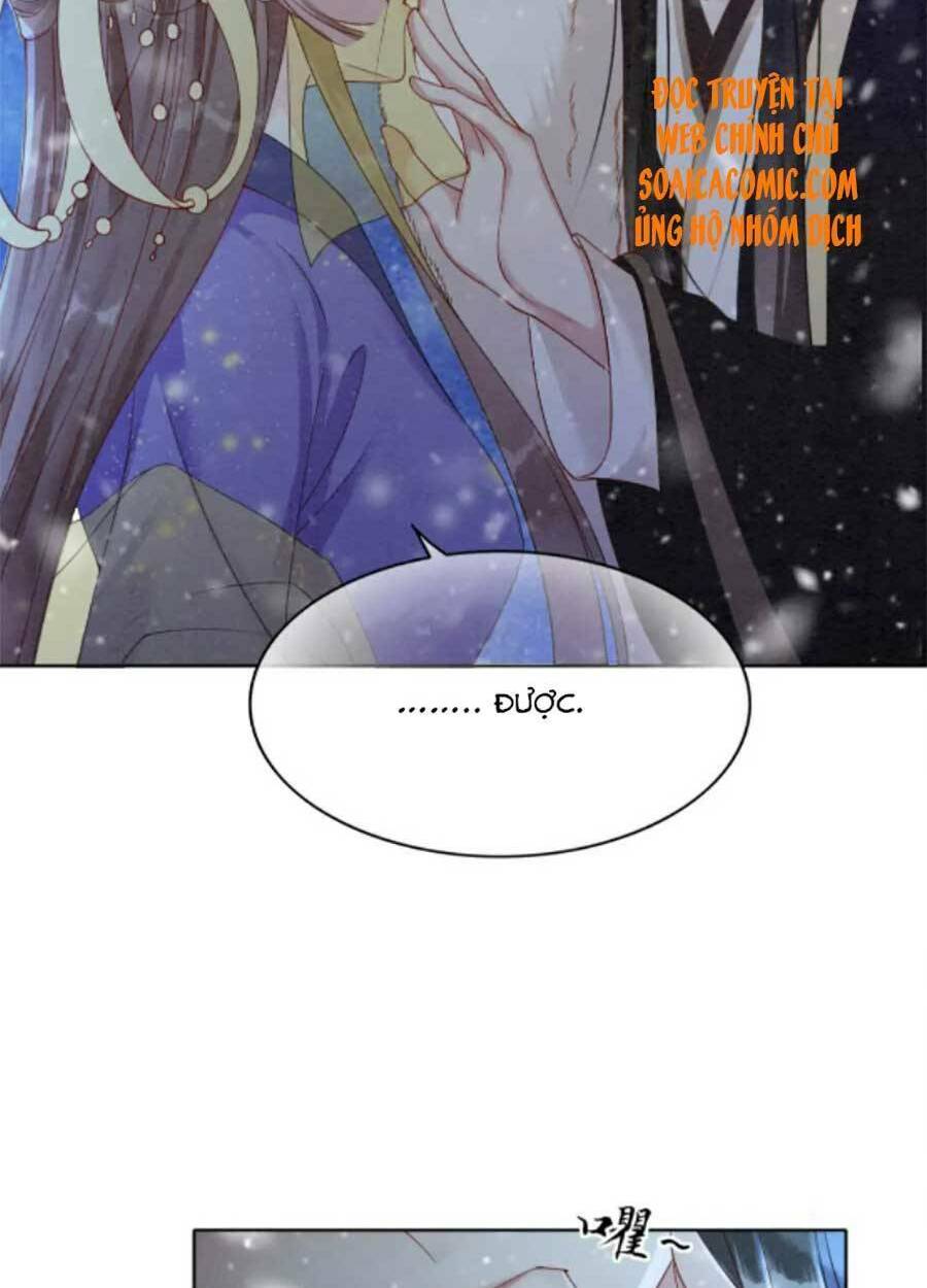 Xung Hỉ Vương Phi: Chapter 81