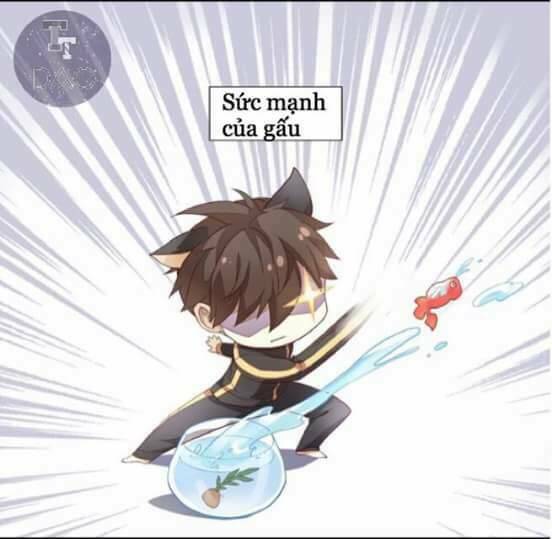 Dưới Móng Vuốt Mèo: Chapter 2